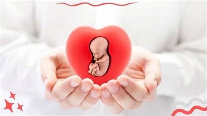 تنبلی تخمدان باعث سقط میشود